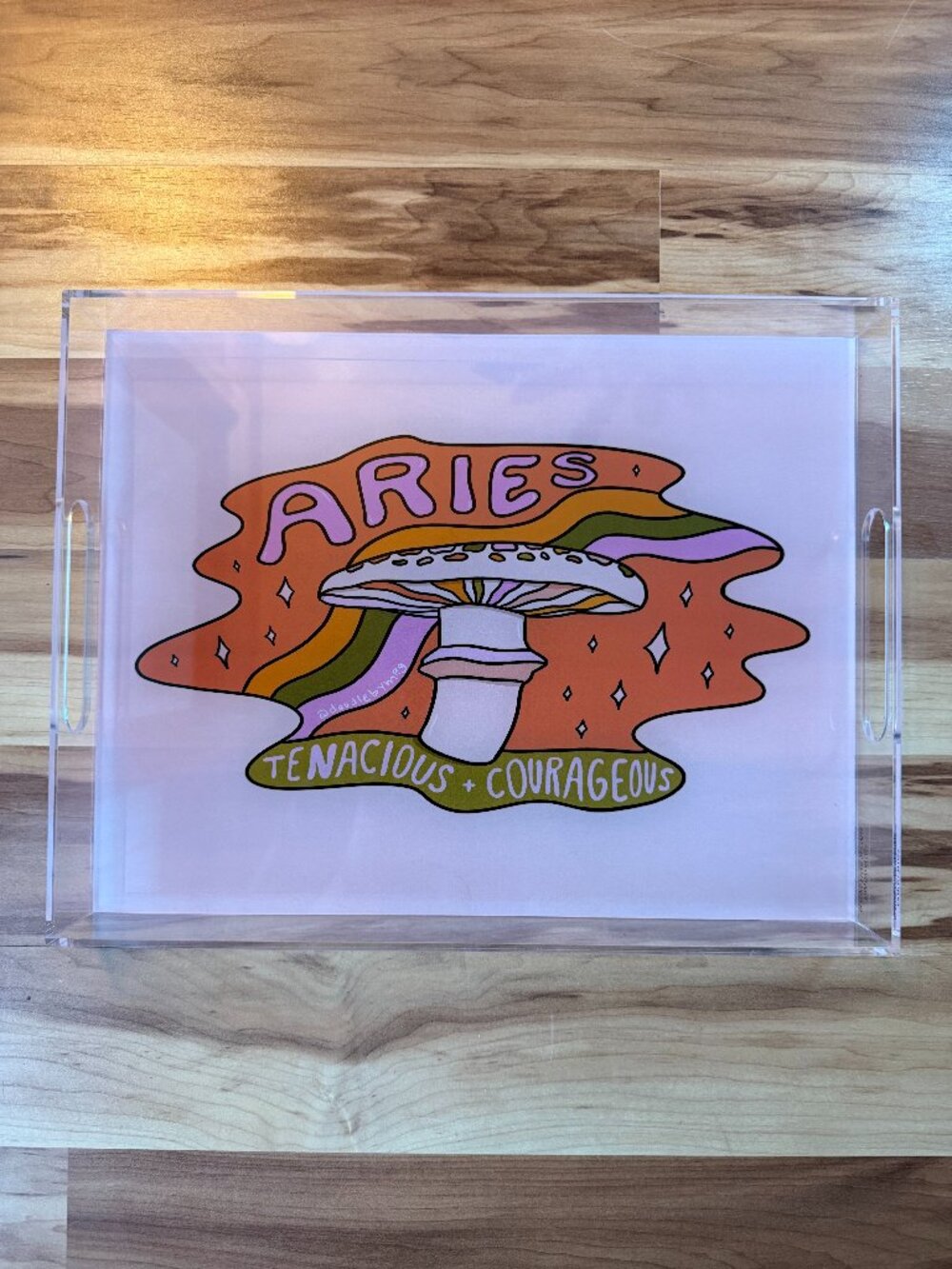 Deny Designs Doodle By Meg Aries Mushroom Acrylic Tray Retro Decorative Catchall